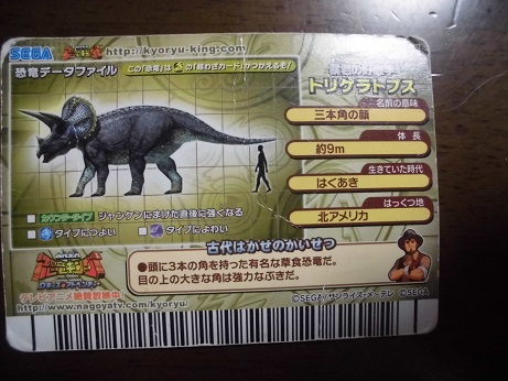 f:id:bnbnb:20150221070557j:plain