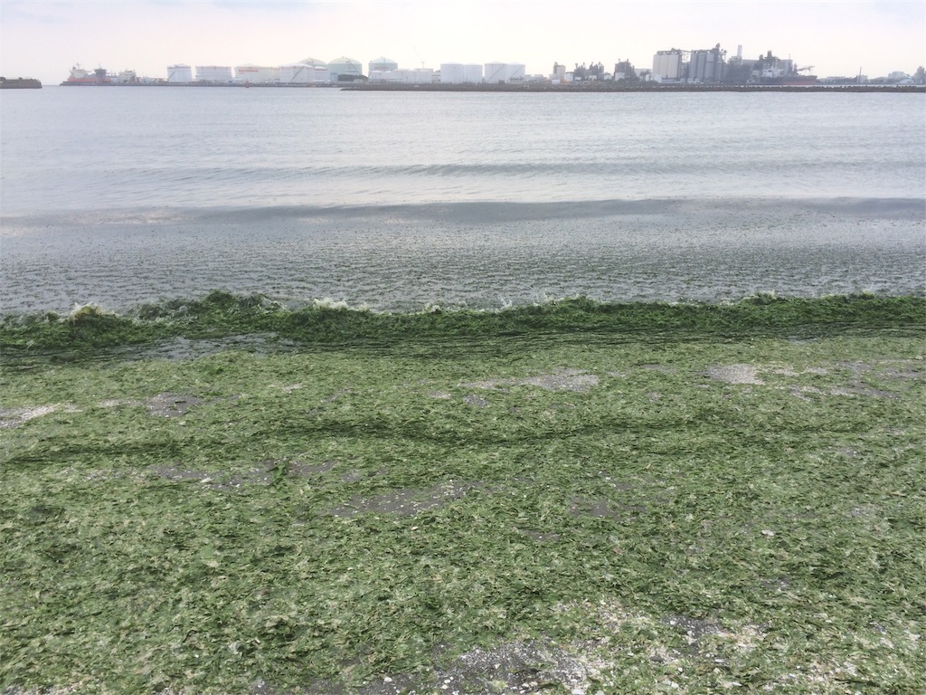 f:id:bnnfsh:20190621214623j:image f:id:bnnfsh:20190621214623j:image