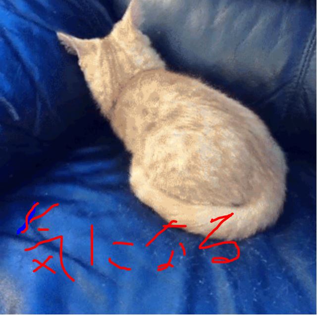 f:id:bnumber:20170319010346j:plain f:id:bnumber:20170319010346j:plain