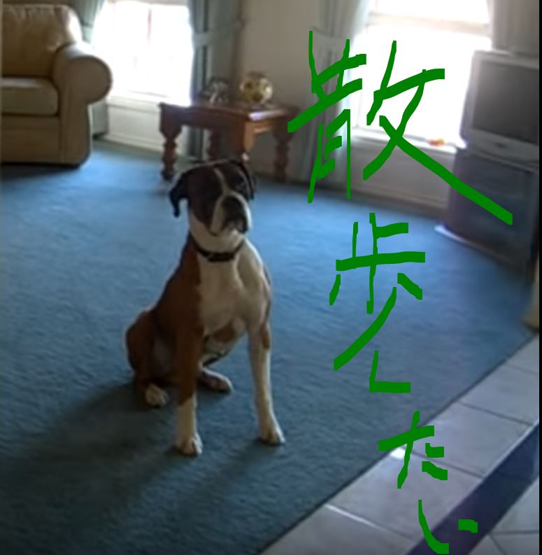 f:id:bnumber:20170322011102j:plain f:id:bnumber:20170322011102j:plain