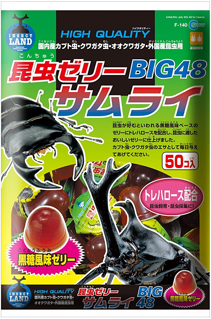 f:id:bo-man:20200810012533j:plain