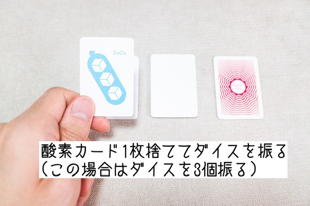 f:id:board_kuma:20210405180029j:plain