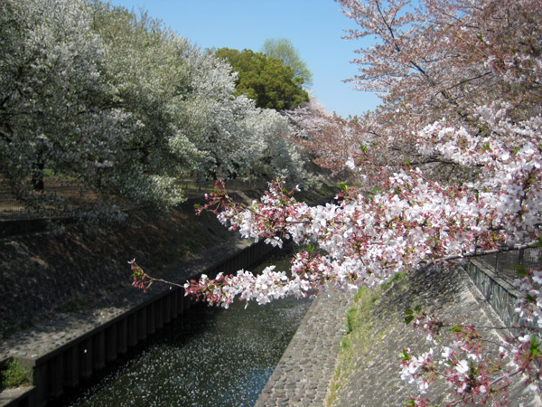 f:id:bob0524:20130314085310j:image