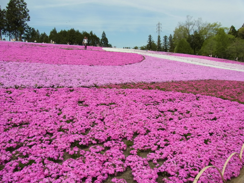 f:id:bob0524:20130425114918j:image:w360 f:id:bob0524:20130425114918j:image:w360