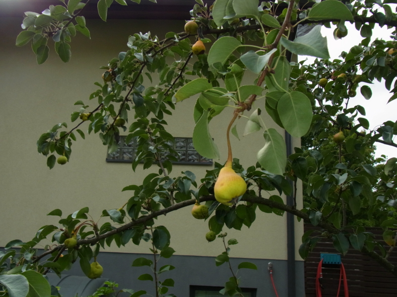 f:id:bob0524:20130831212750j:image f:id:bob0524:20130831212750j:image