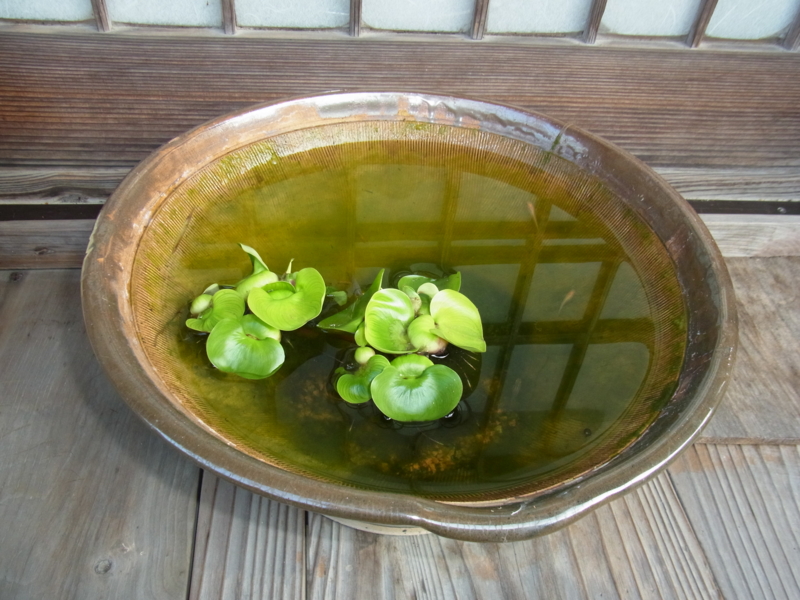 f:id:bob0524:20131104151727j:image