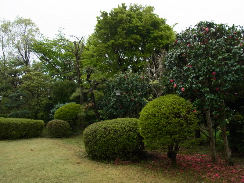 f:id:bob0524:20140420082452j:image f:id:bob0524:20140420082452j:image