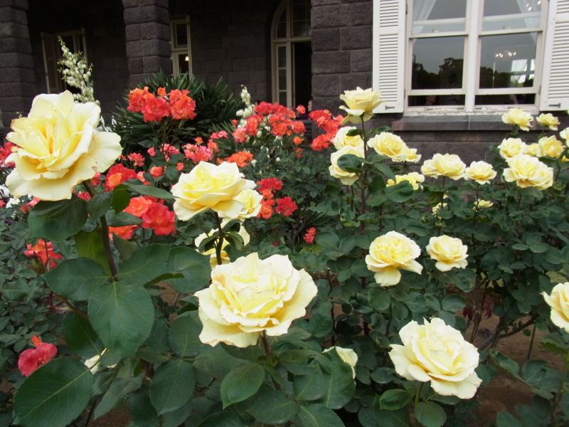 f:id:bob0524:20140520162923j:image