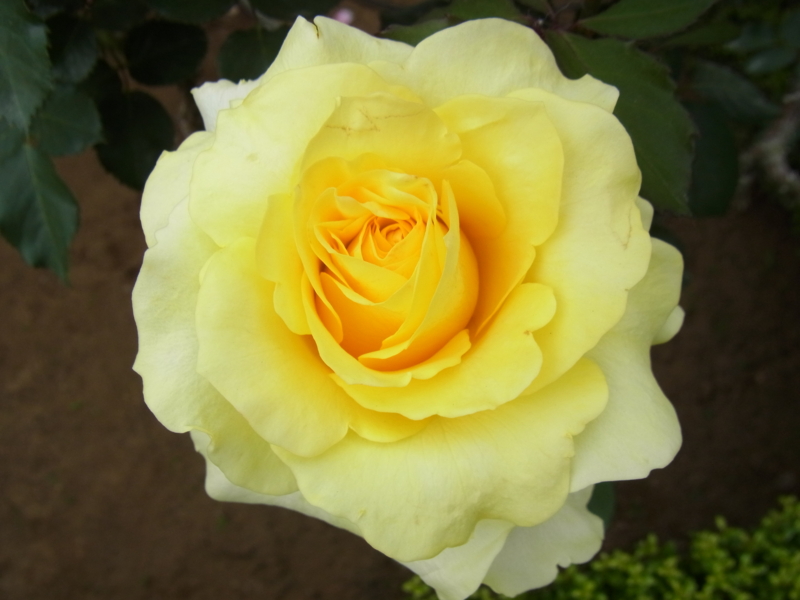 f:id:bob0524:20140520163150j:image