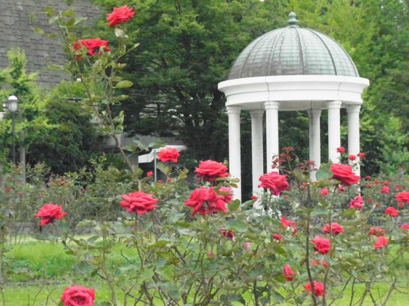 f:id:bob0524:20160630140830j:plain f:id:bob0524:20160630140830j:plain