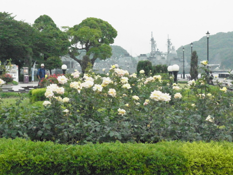 f:id:bob0524:20160630141523j:image