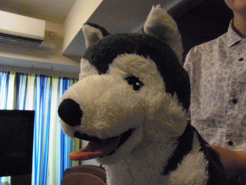 f:id:bob0524:20160711182051j:image