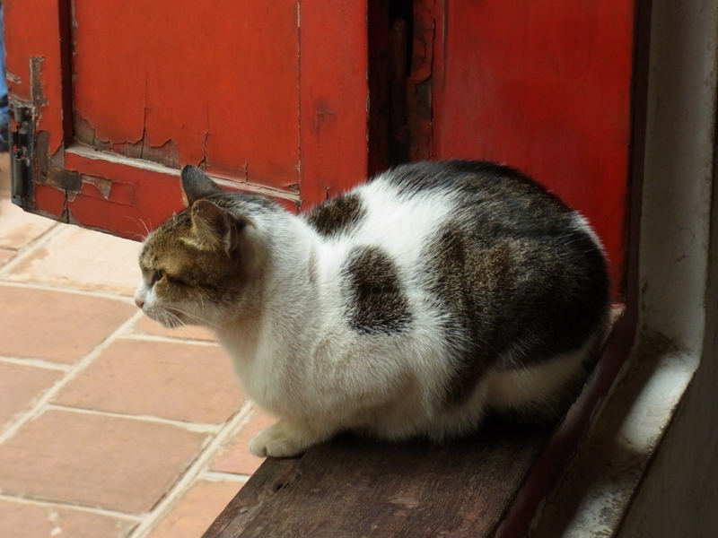 f:id:bob0524:20180111140923j:plain