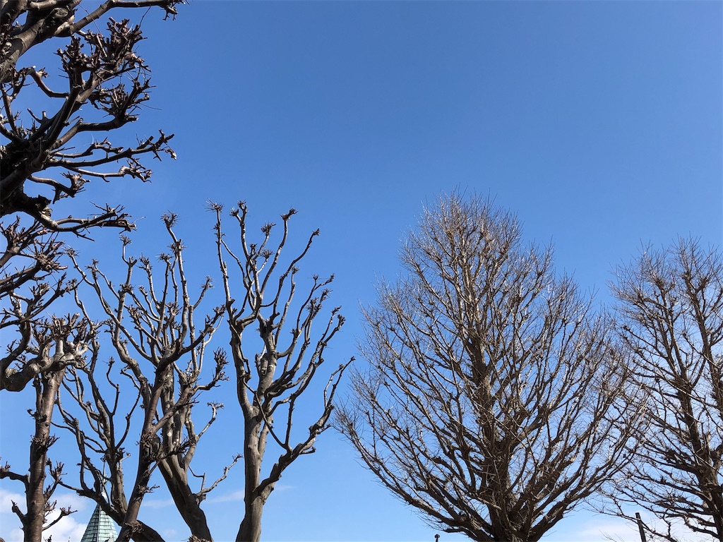 f:id:bob0524:20200512091017j:plain f:id:bob0524:20200512091017j:plain