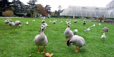 f:id:bob3:20041106015453:image