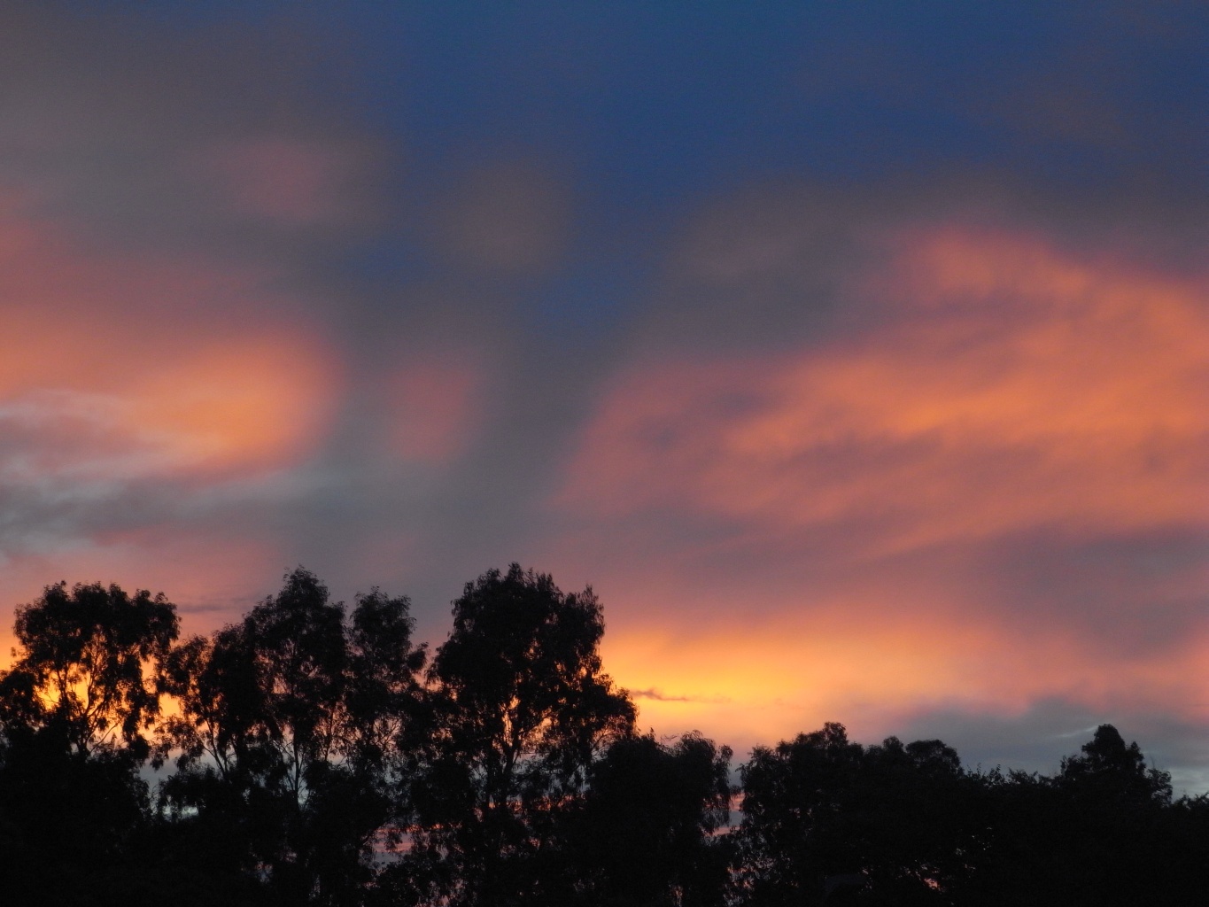 f:id:bob3:20100808184414j:image:w512