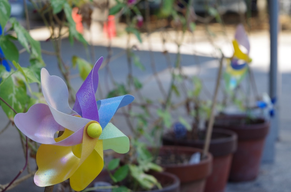 f:id:bob3:20120825151314j:image:w640 f:id:bob3:20120825151314j:image:w640