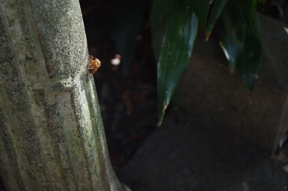 f:id:bob3:20120825153344j:image:w640 f:id:bob3:20120825153344j:image:w640