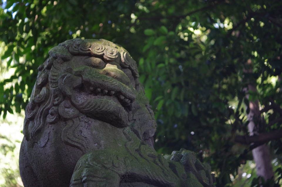 f:id:bob3:20120825155101j:image:w640 f:id:bob3:20120825155101j:image:w640