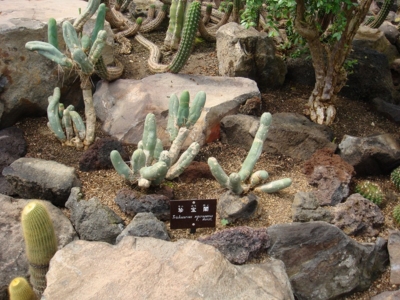 f:id:bob69:20090515230332j:image