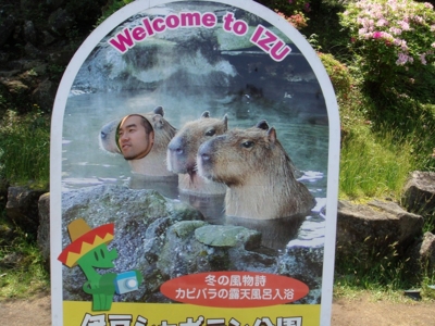 f:id:bob69:20090515230523j:image