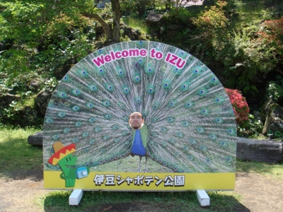 f:id:bob69:20090515230528j:image