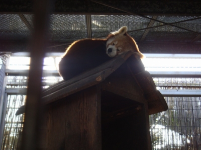 f:id:bob69:20090515232201j:image