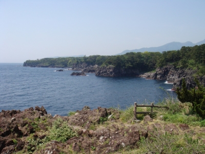 f:id:bob69:20090515232957j:image