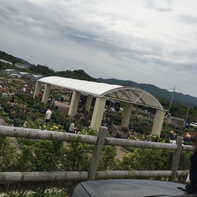 f:id:bobandtomoko:20170623121030j:plain f:id:bobandtomoko:20170623121030j:plain
