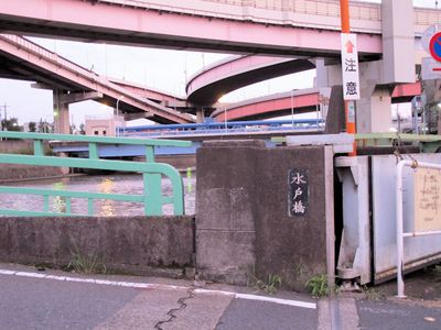 91
