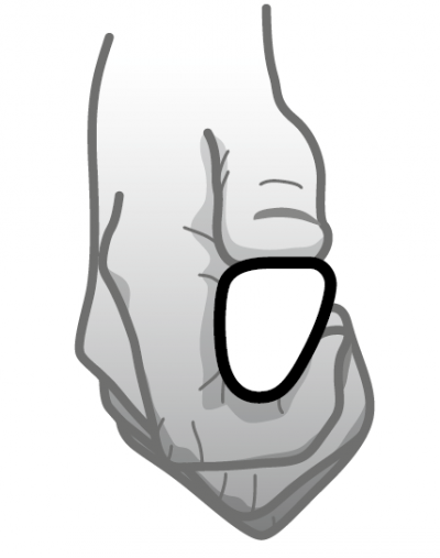 Curve_l