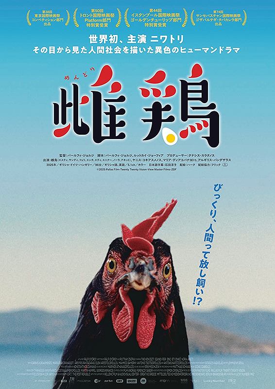 ギリシャ・ドイツ・ハンガリー合作 世界初！主演・ニワトリ 映画『雌鶏