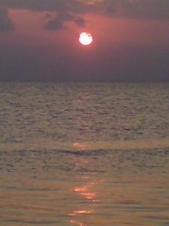 f:id:bobi-wan:20100117180713j:image