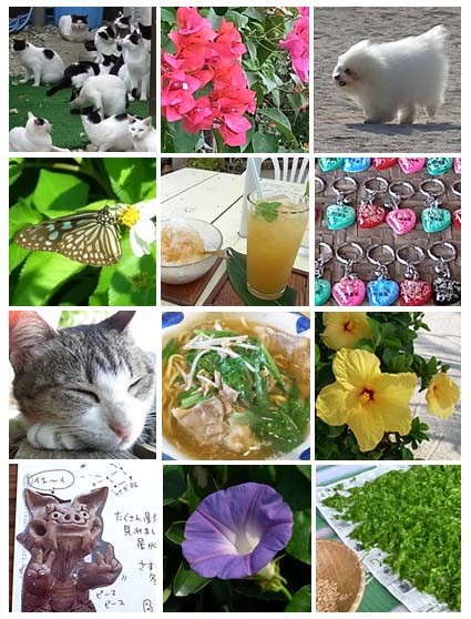 f:id:bobi-wan:20100121233926j:image