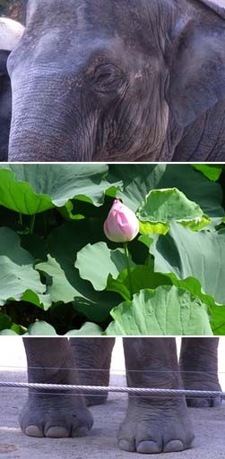 f:id:bobi-wan:20100822131942j:image