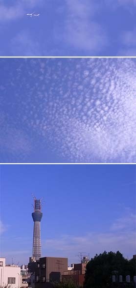 f:id:bobi-wan:20100903171342j:image