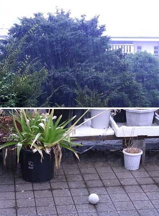 f:id:bobi-wan:20100908123717j:image