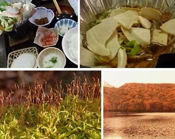 f:id:bobi-wan:20101114142138j:image f:id:bobi-wan:20101114142138j:image