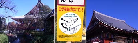 f:id:bobi-wan:20101212120428j:image
