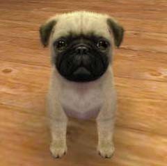 f:id:bobi-wan:20110228015556j:image