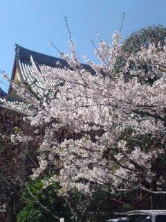 f:id:bobi-wan:20110412095831j:image