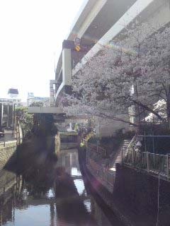 f:id:bobi-wan:20110413133520j:image f:id:bobi-wan:20110413133520j:image