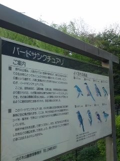 f:id:bobi-wan:20110504163819j:image