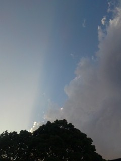 f:id:bobi-wan:20110508175733j:image