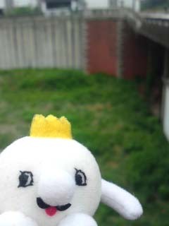 f:id:bobi-wan:20110510074604j:image