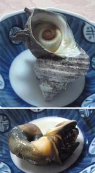 f:id:bobi-wan:20110514095843j:image