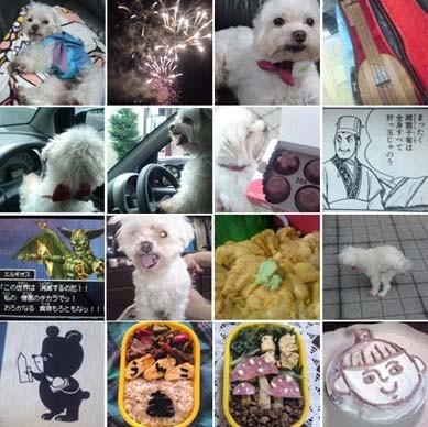f:id:bobi-wan:20110518124306j:image