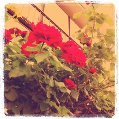 f:id:bobi-wan:20110521193022j:image