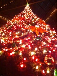 f:id:bobi-wan:20111203043053j:image