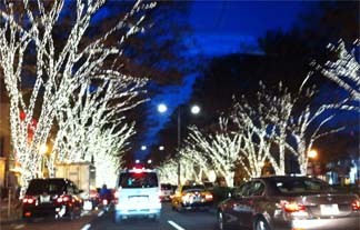 f:id:bobi-wan:20111207211032j:image:w250
